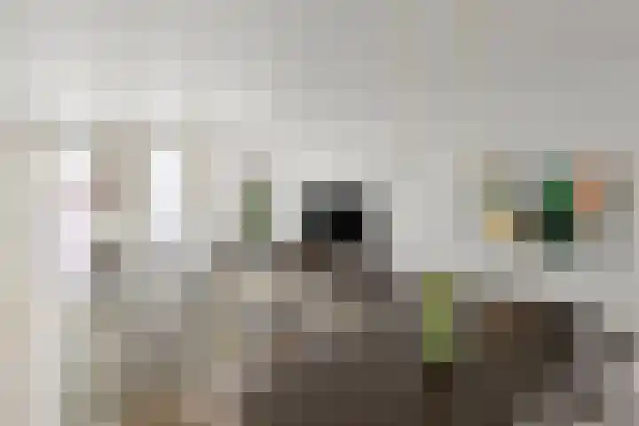 IJsvogelpassage 63 Nijmegen thumbnail 5