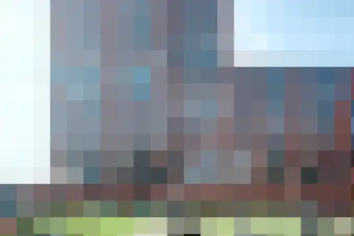 IJsvogelpassage 63 Nijmegen thumbnail 6