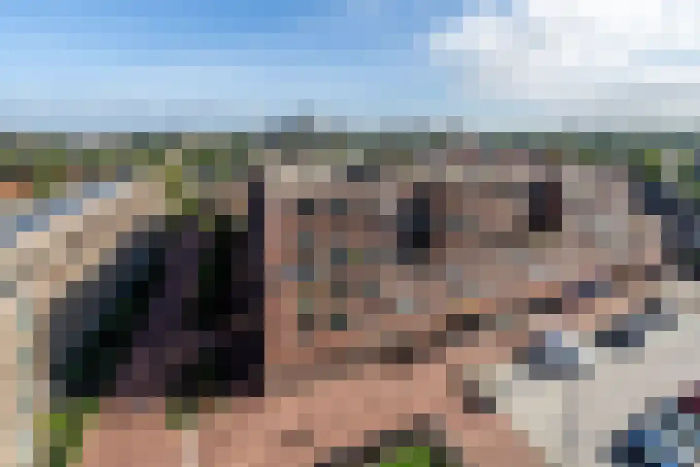 IJsvogelpassage 97 Nijmegen thumbnail 17