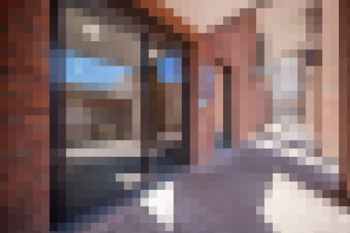 IJsvogelpassage 98 Nijmegen thumbnail 5