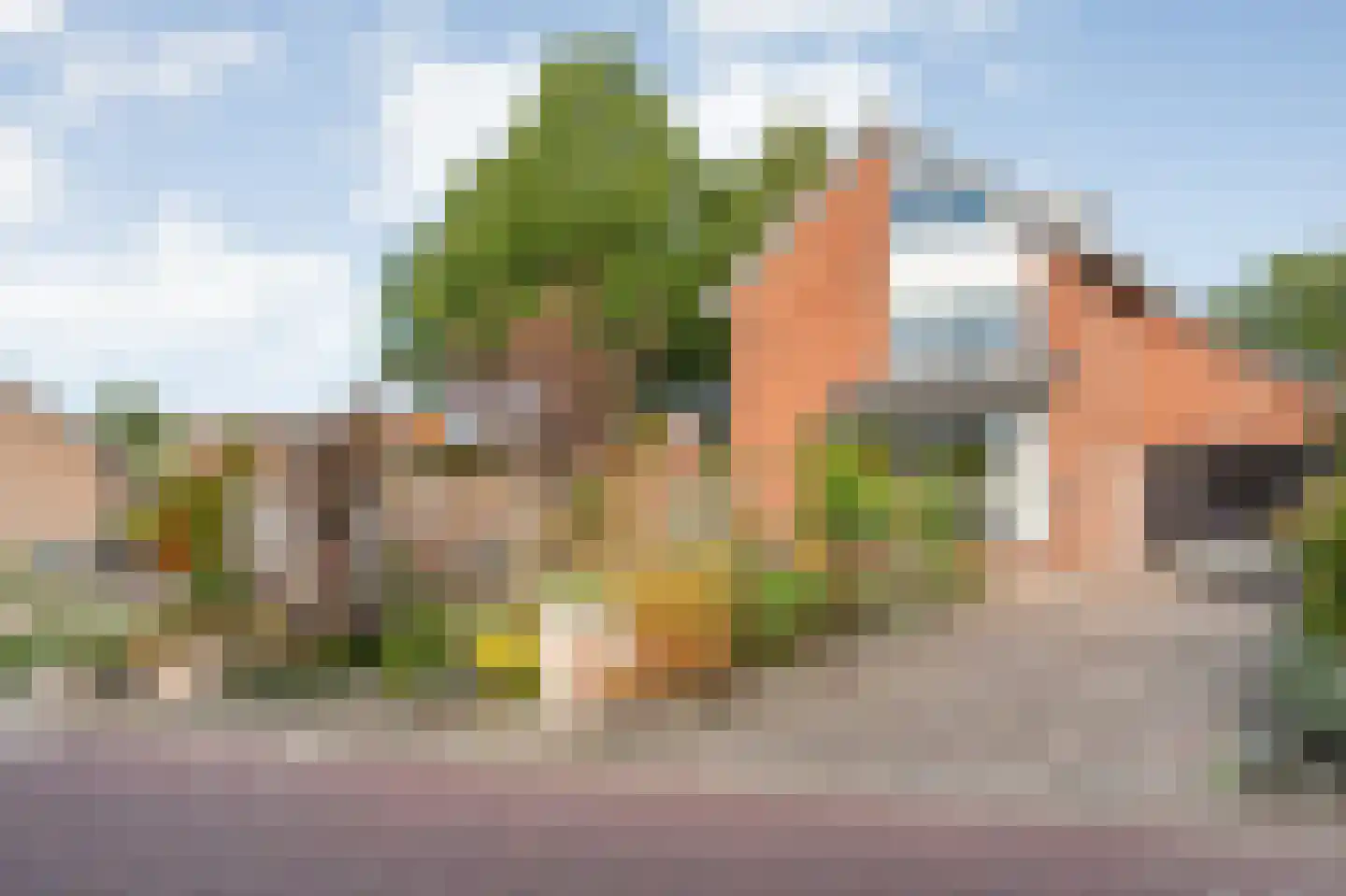 IJsvogelstraat 1 de Lutte