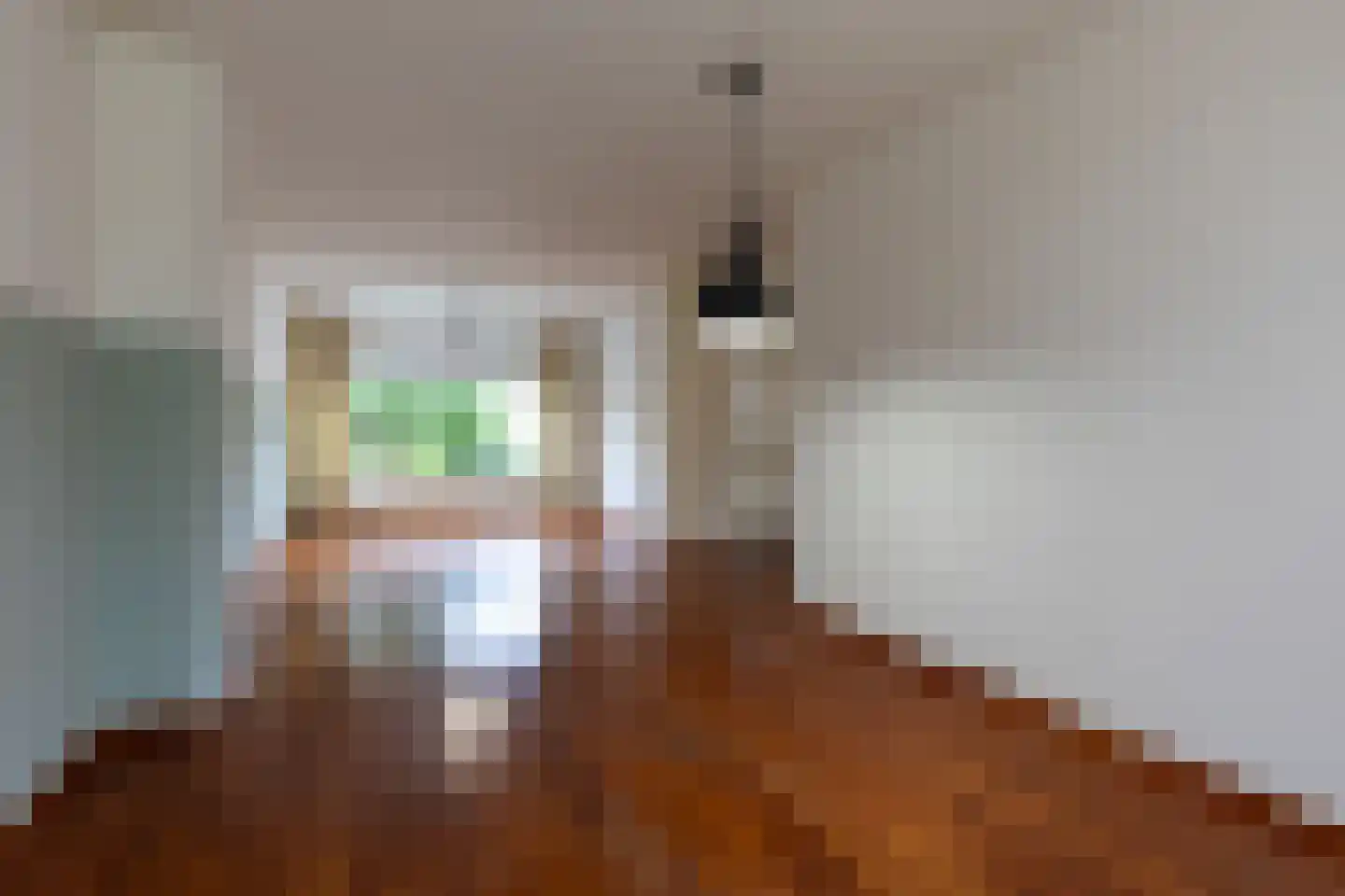 IJsvogelstraat 11 Sittard thumbnail 12