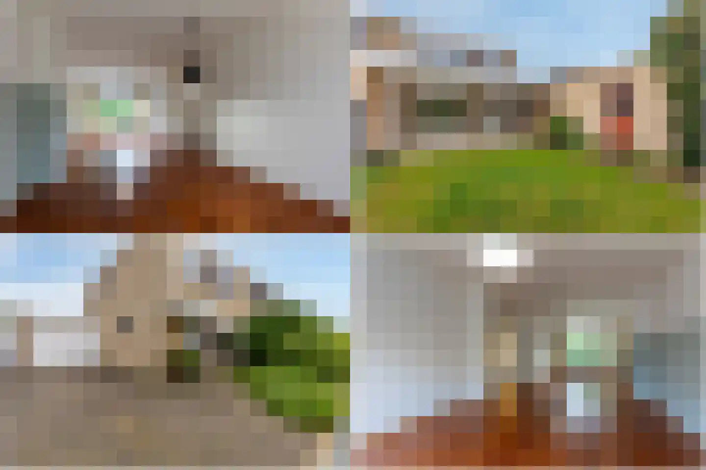 IJsvogelstraat 11 Sittard thumbnail 4