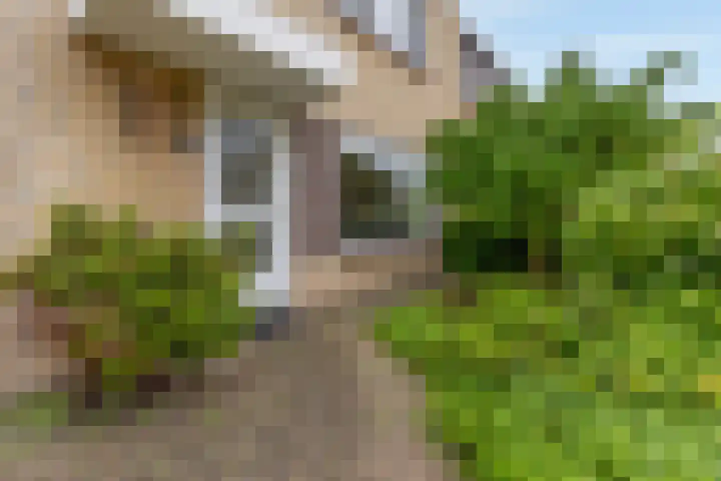 IJsvogelstraat 11 Sittard thumbnail 7