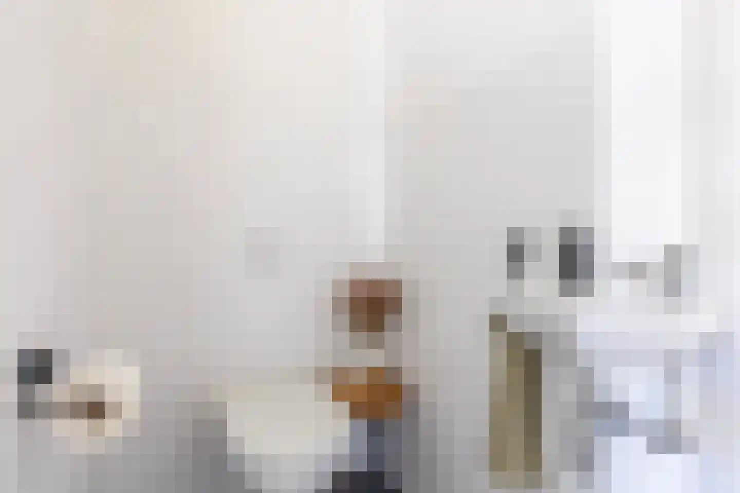IJsvogelstraat 12 Schoonhoven thumbnail 26