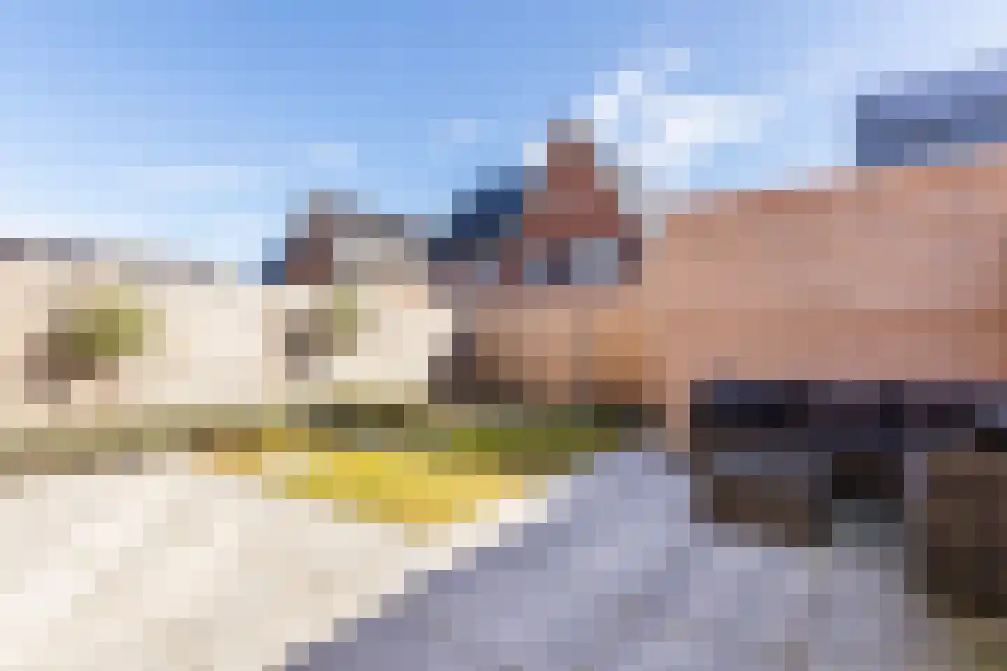 IJsvogelstraat 12 Schoonhoven thumbnail 41