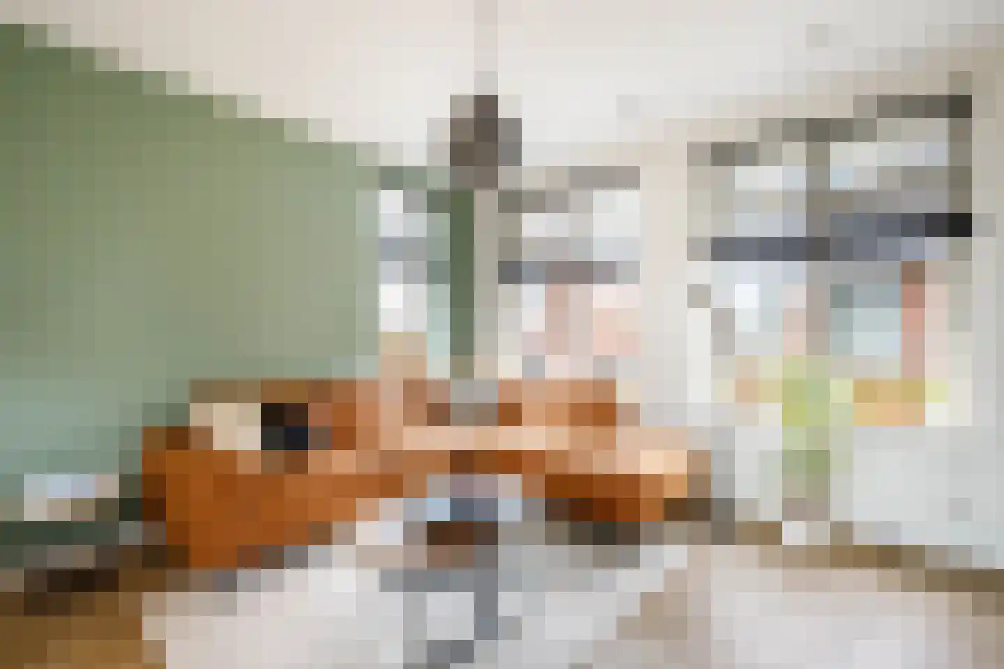 IJsvogelstraat 16 Schoonhoven thumbnail 11