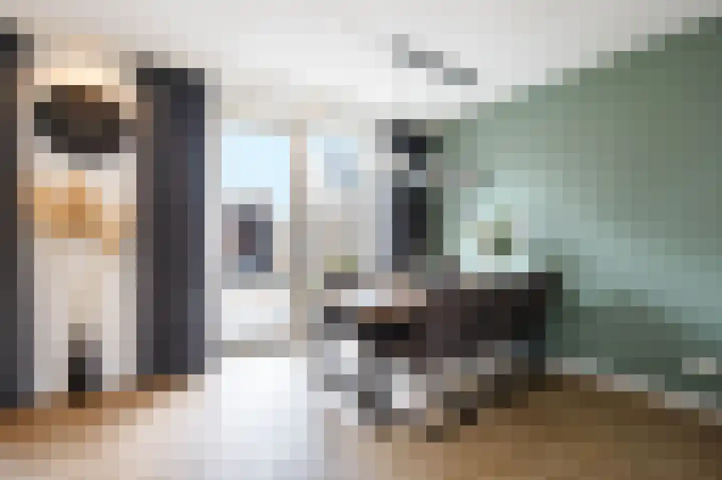 IJsvogelstraat 16 Schoonhoven thumbnail 14