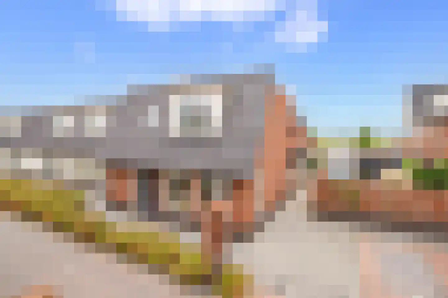 IJsvogelstraat 16 Schoonhoven thumbnail 25