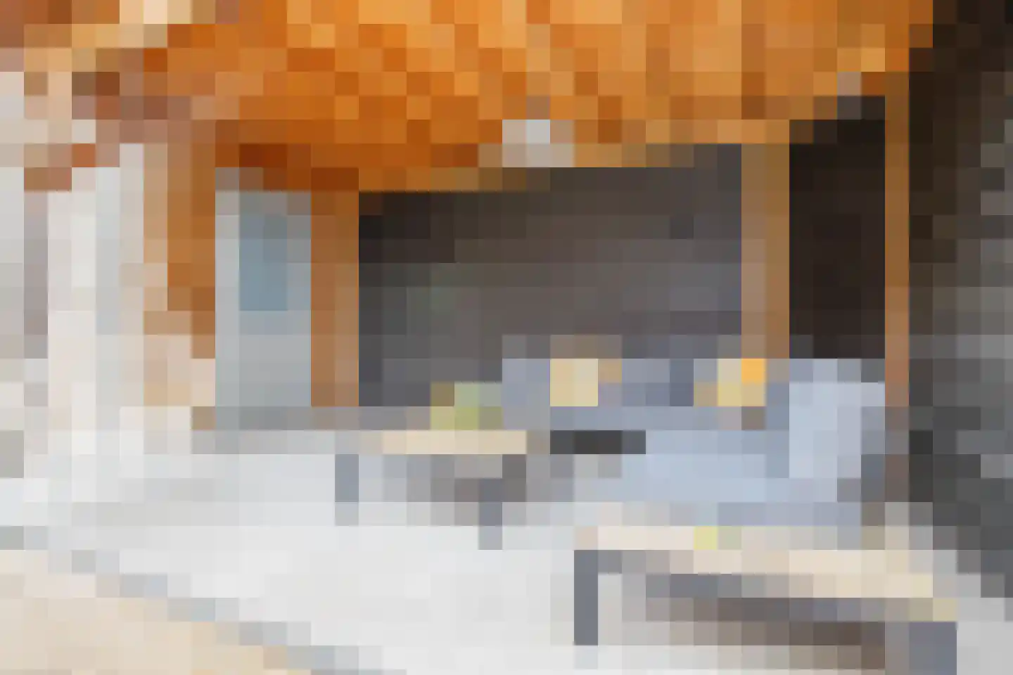 IJsvogelstraat 16 Schoonhoven thumbnail 30