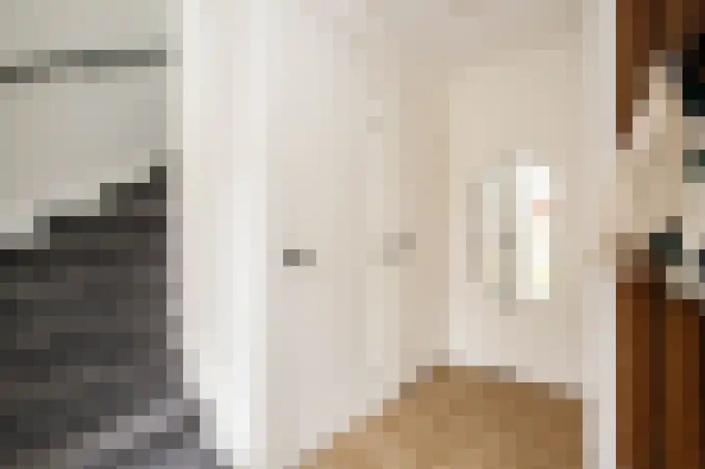 IJsvogelstraat 16 Schoonhoven thumbnail 7