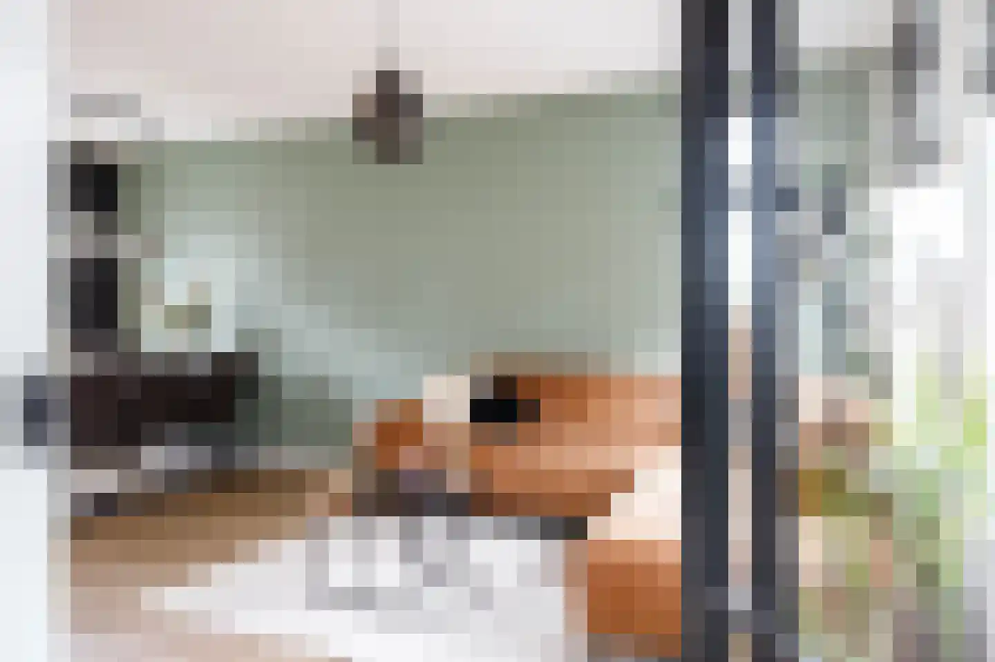 IJsvogelstraat 16 Schoonhoven thumbnail 9