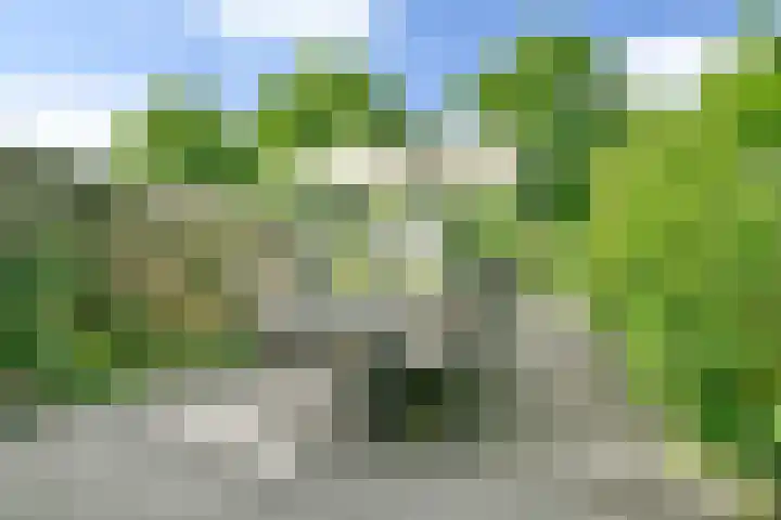 IJsvogelstraat 17 Aalsmeer thumbnail 23