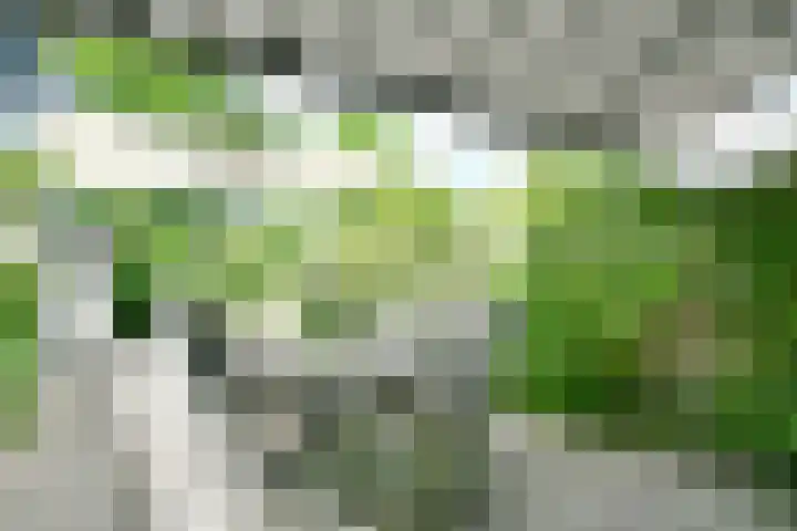 IJsvogelstraat 17 Aalsmeer thumbnail 24