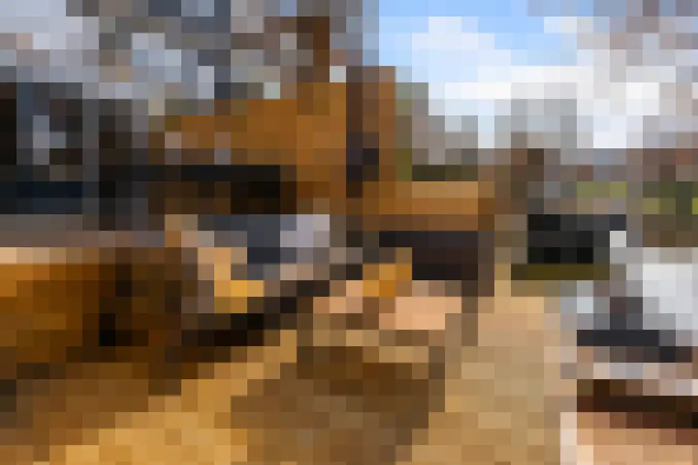 IJsvogelstraat 19 Wormer thumbnail 10