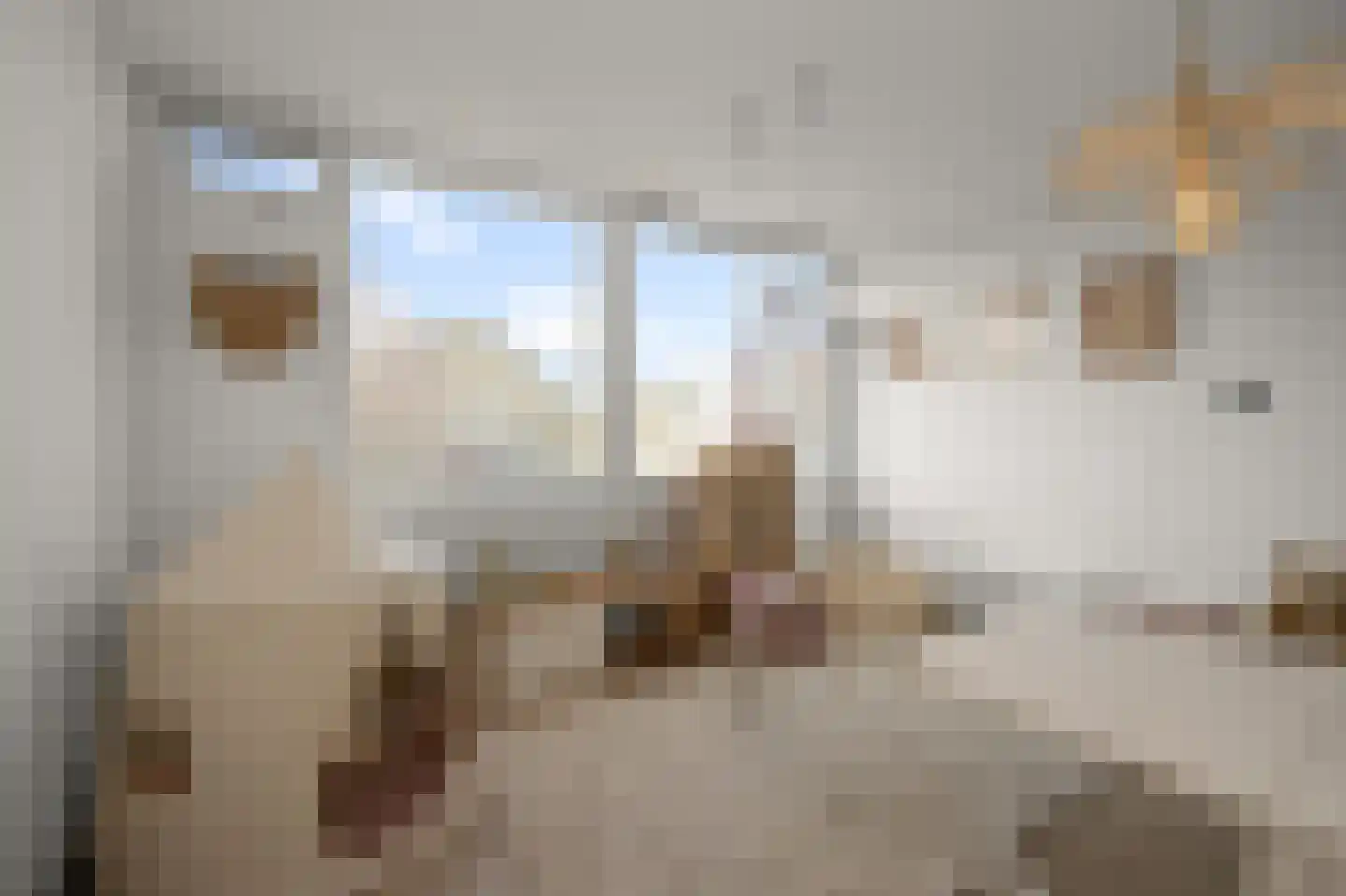 IJsvogelstraat 19 Wormer thumbnail 22