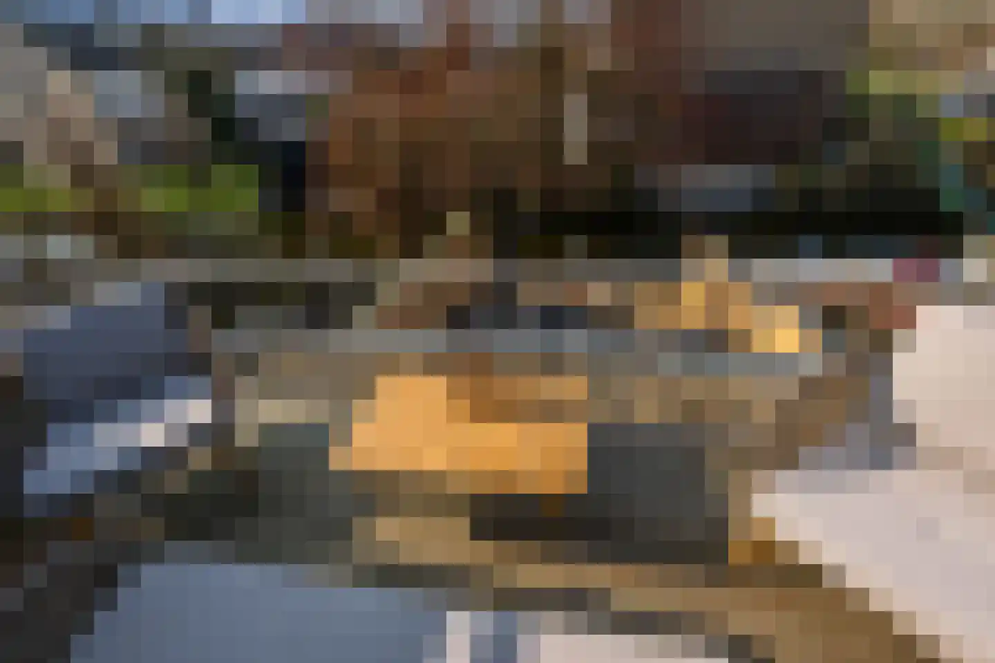 IJsvogelstraat 19 Wormer thumbnail 24
