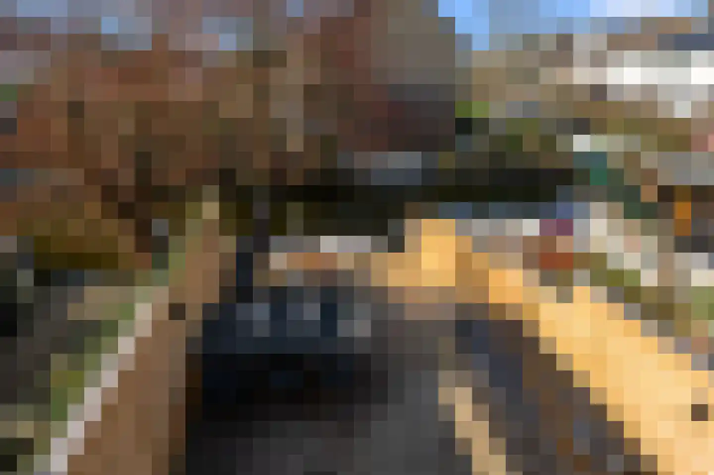 IJsvogelstraat 19 Wormer thumbnail 26
