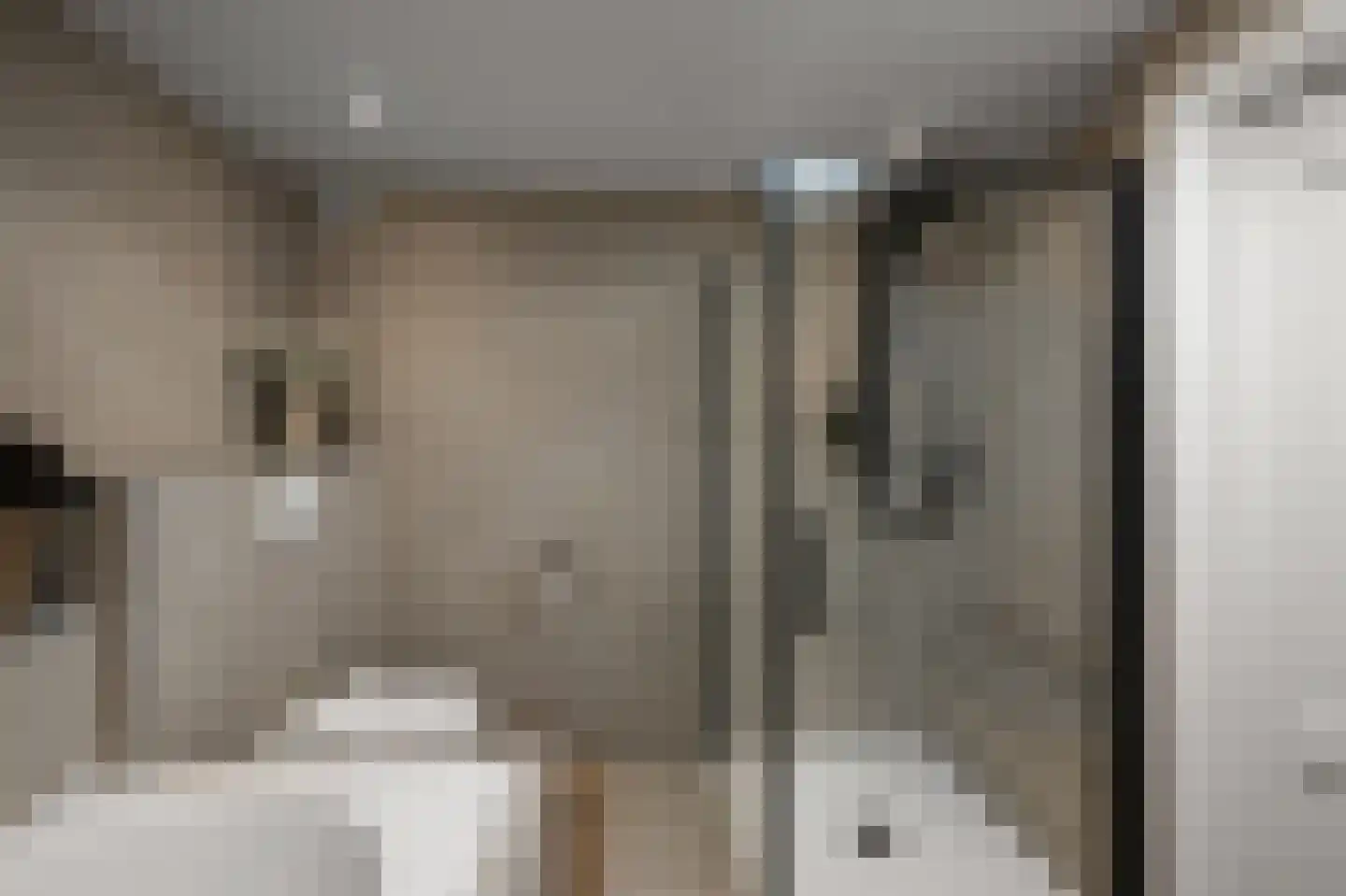 IJsvogelstraat 19 Wormer thumbnail 31