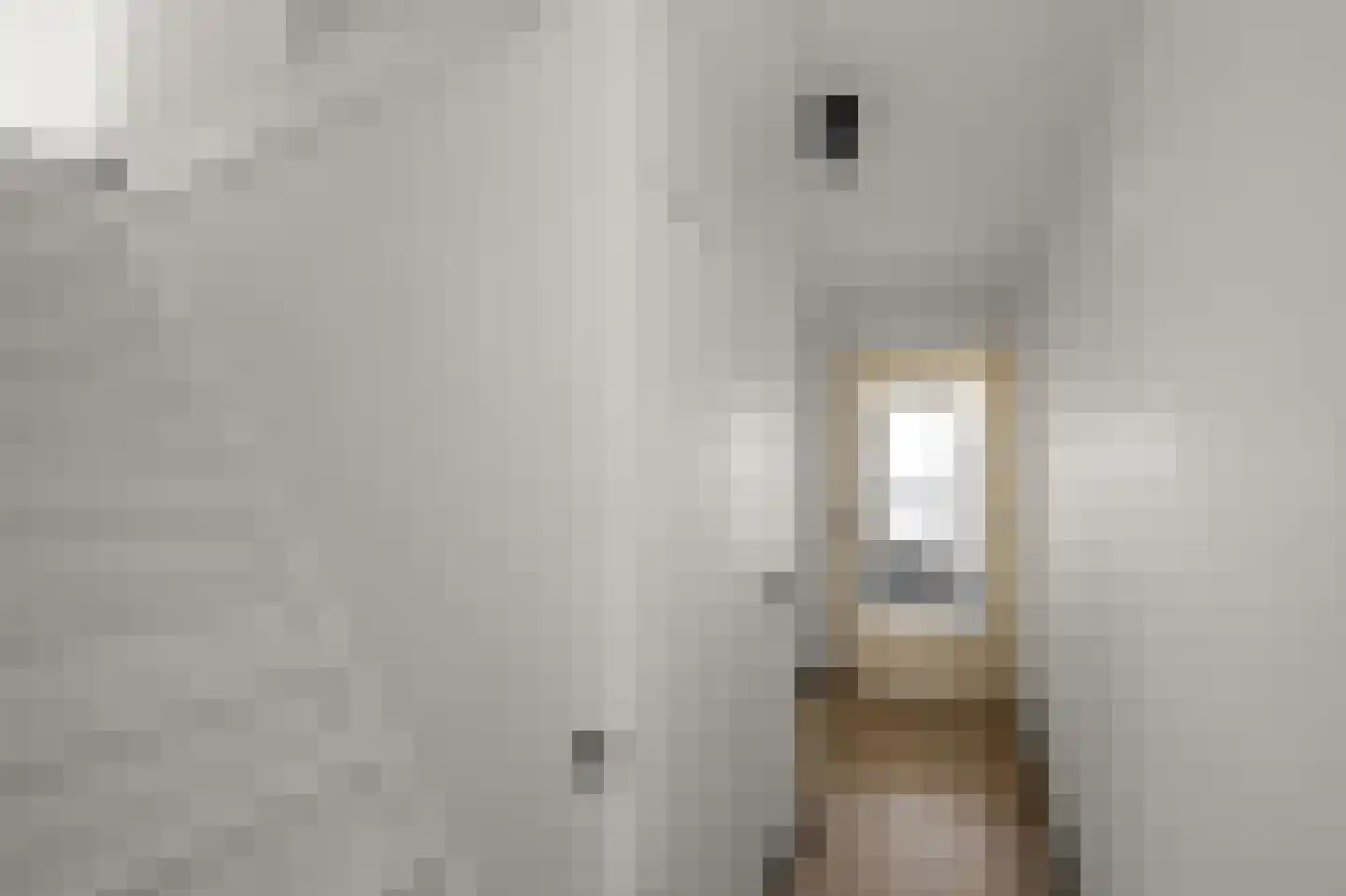 IJsvogelstraat 19 Wormer thumbnail 36