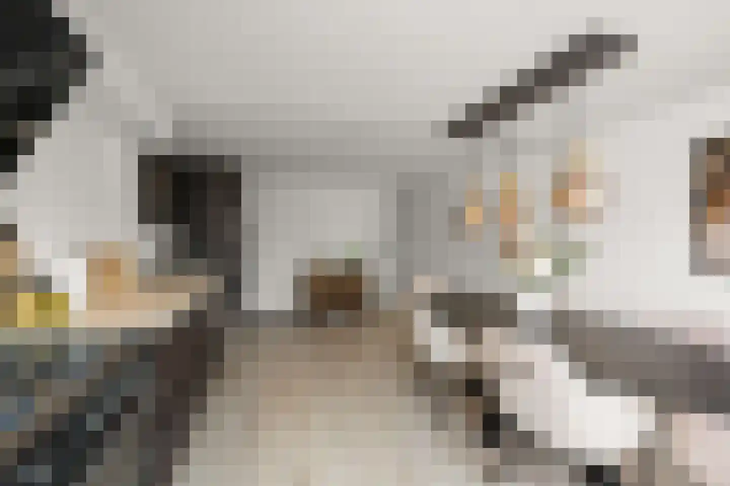 IJsvogelstraat 19 Wormer thumbnail 4