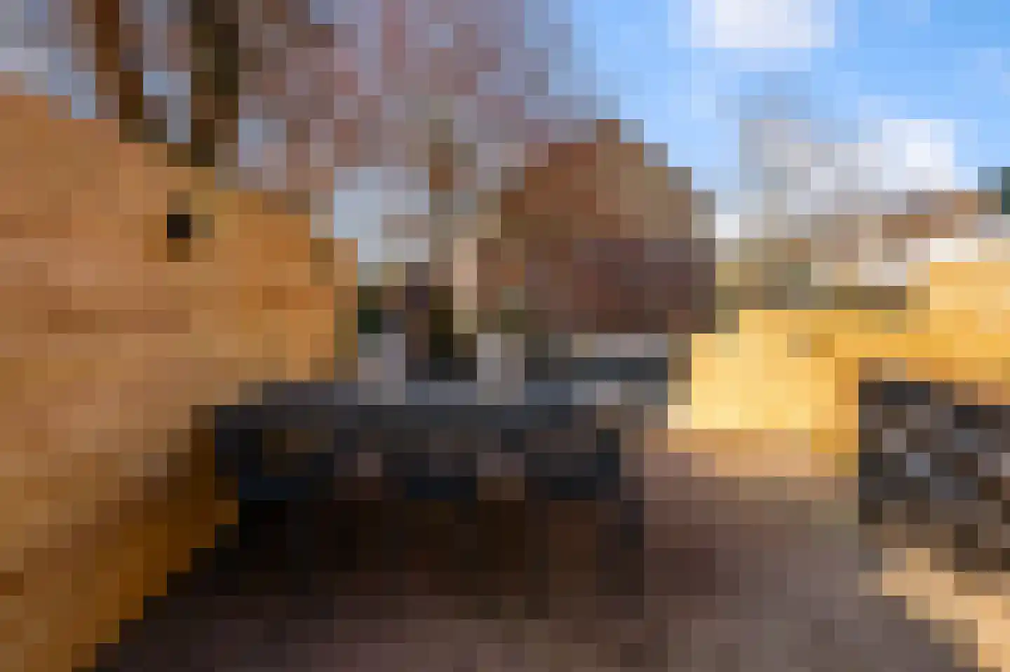 IJsvogelstraat 19 Wormer thumbnail 8