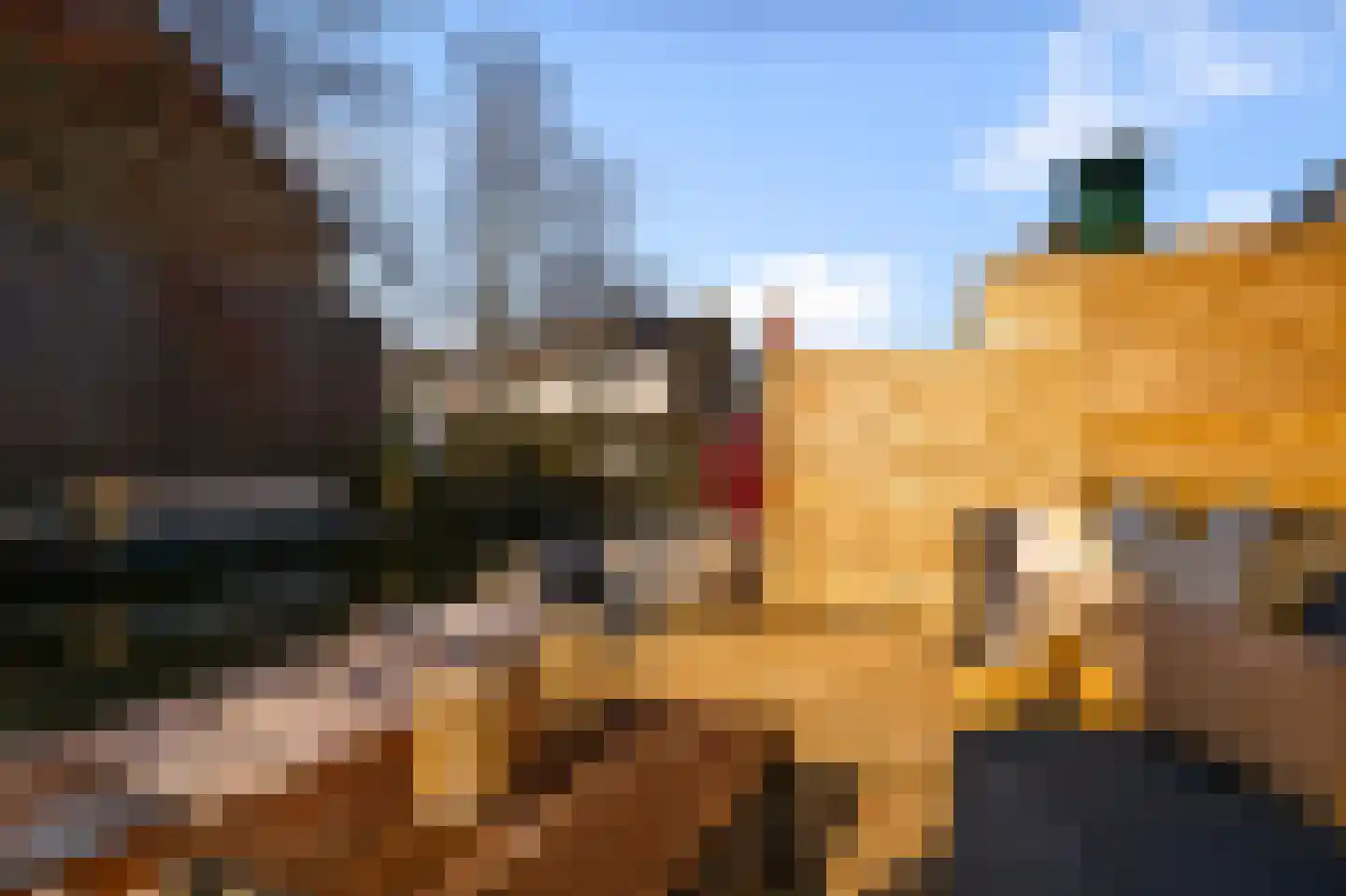 IJsvogelstraat 19 Wormer thumbnail 9