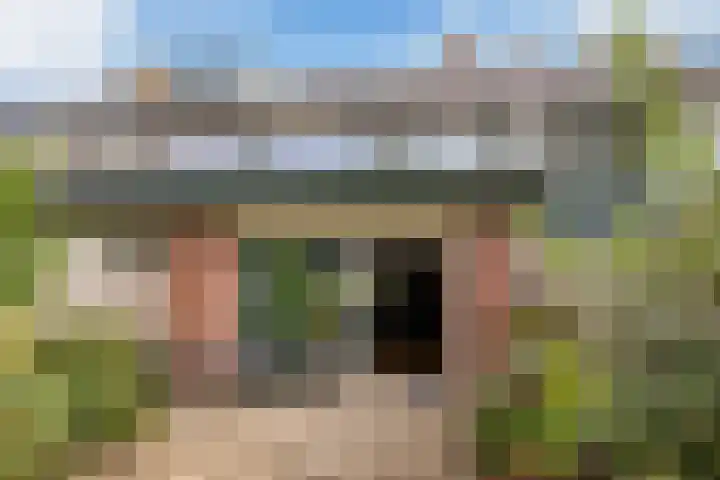 IJsvogelstraat 21 Aalsmeer thumbnail 31