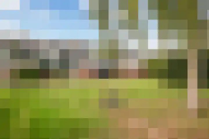 IJsvogelstraat 21 Aalsmeer thumbnail 33