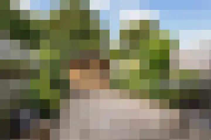 IJsvogelstraat 21 Aalsmeer thumbnail 5