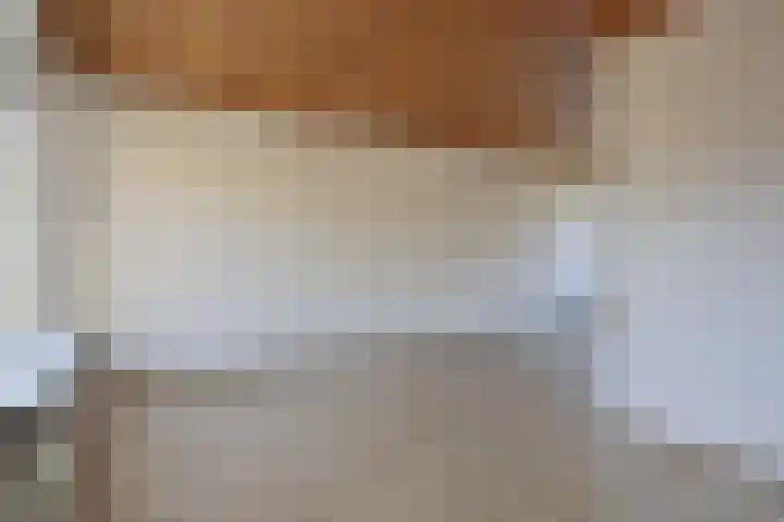 IJsvogelstraat 22 Hank thumbnail 10