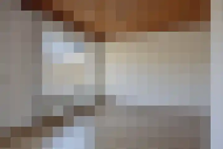 IJsvogelstraat 22 Hank thumbnail 11