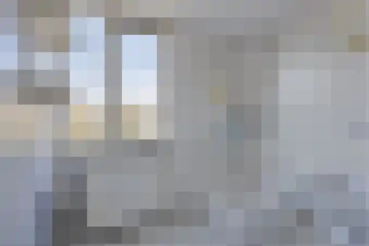 IJsvogelstraat 22 Hank thumbnail 16