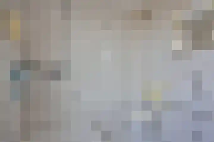 IJsvogelstraat 22 Hank thumbnail 17