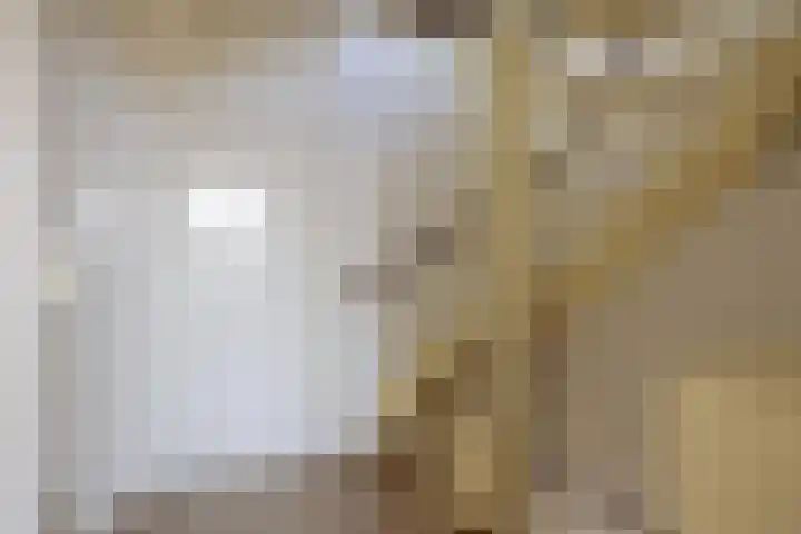 IJsvogelstraat 22 Hank thumbnail 20