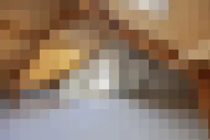 IJsvogelstraat 22 Hank thumbnail 21