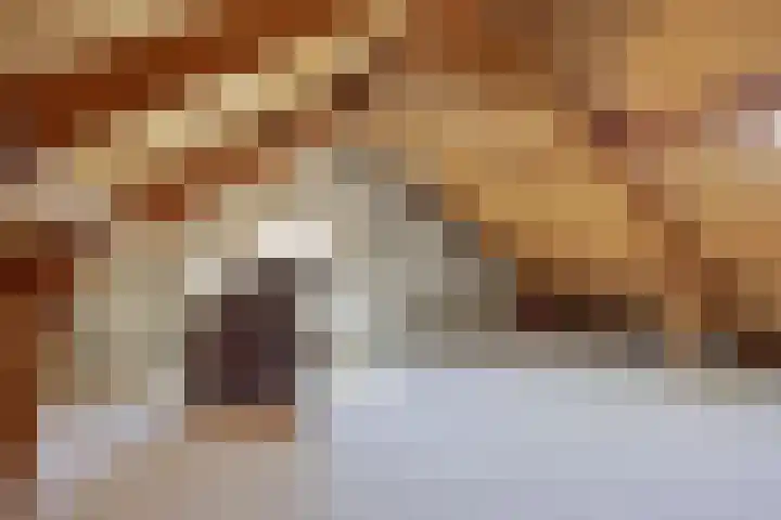 IJsvogelstraat 22 Hank thumbnail 23