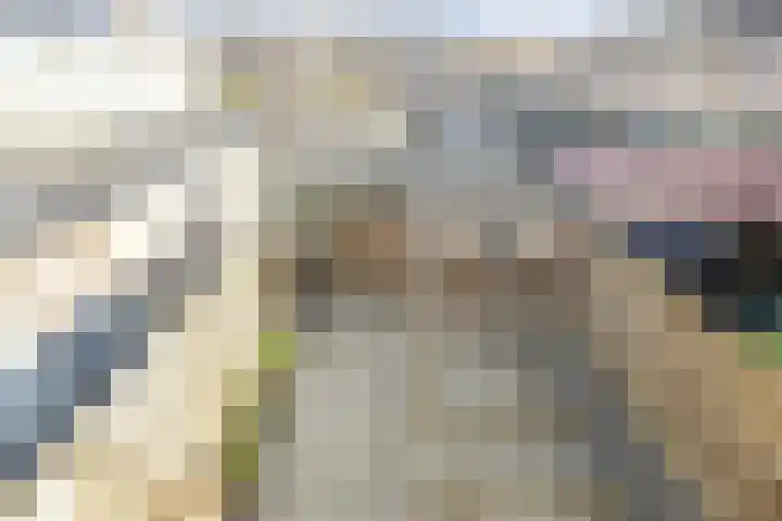 IJsvogelstraat 22 Hank thumbnail 24