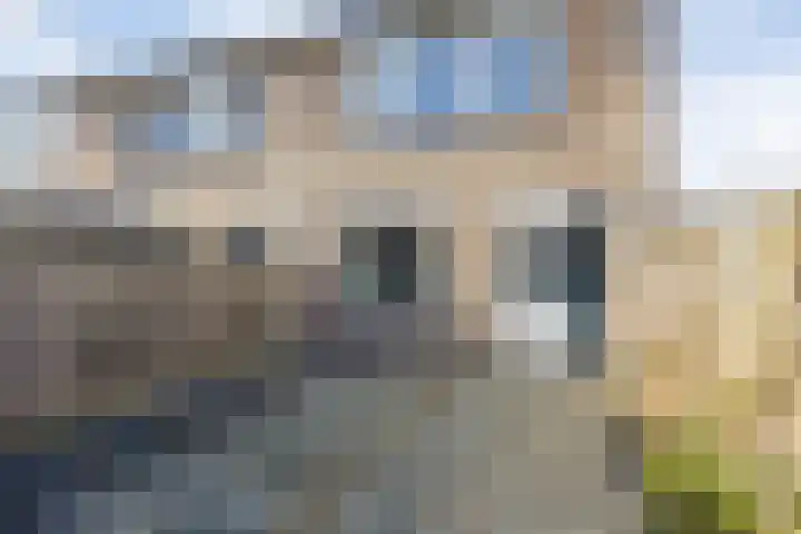 IJsvogelstraat 22 Hank thumbnail 25