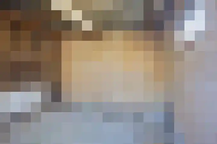 IJsvogelstraat 22 Hank thumbnail 26
