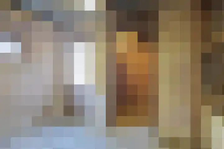IJsvogelstraat 22 Hank thumbnail 27