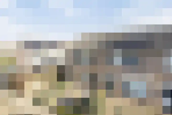 IJsvogelstraat 22 Hank thumbnail 31