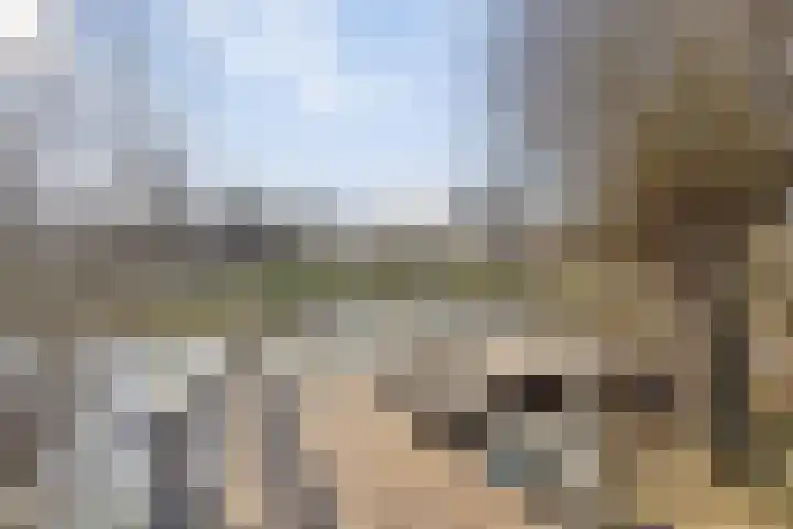IJsvogelstraat 22 Hank thumbnail 32