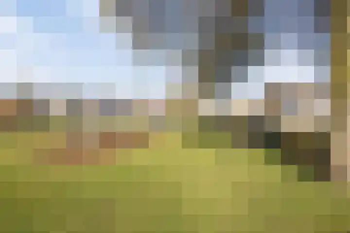 IJsvogelstraat 22 Hank thumbnail 33