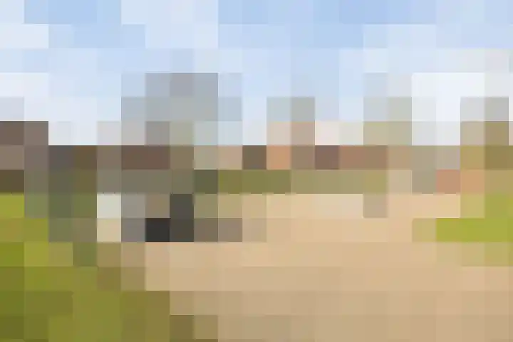 IJsvogelstraat 22 Hank thumbnail 34
