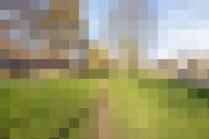 IJsvogelstraat 22 Hank thumbnail 35