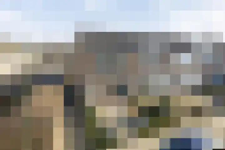 IJsvogelstraat 22 Hank thumbnail 4
