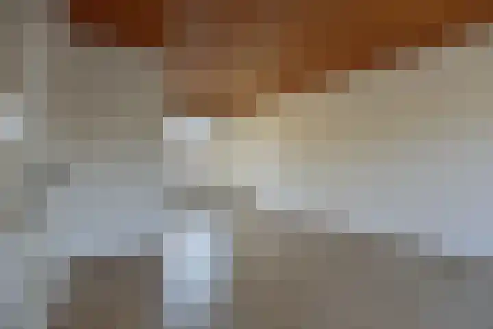 IJsvogelstraat 22 Hank thumbnail 6