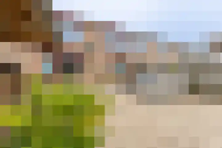 IJsvogelstraat 26 Hank thumbnail 10