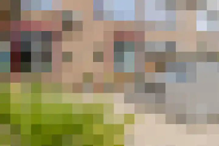 IJsvogelstraat 26 Hank thumbnail 11